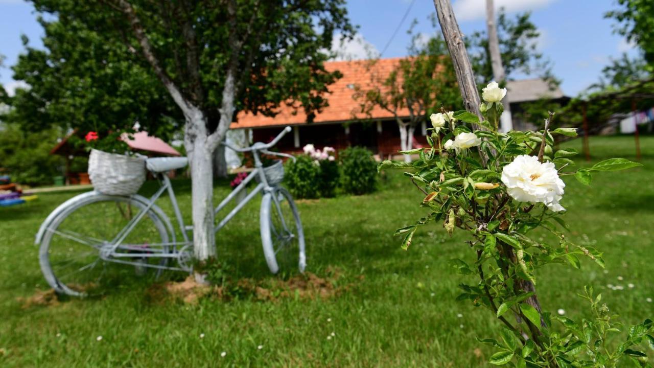 House Luna Rakovica Luaran gambar