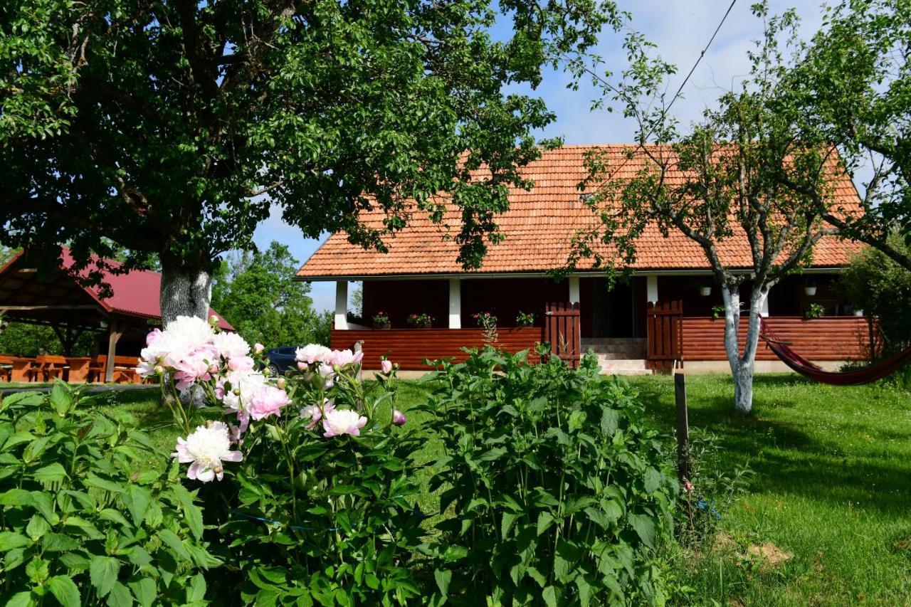 House Luna Rakovica Luaran gambar