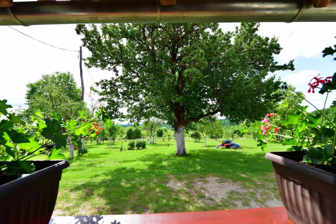 House Luna Rakovica Luaran gambar