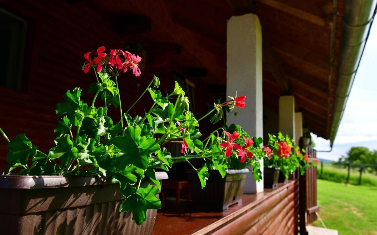 House Luna Rakovica Luaran gambar